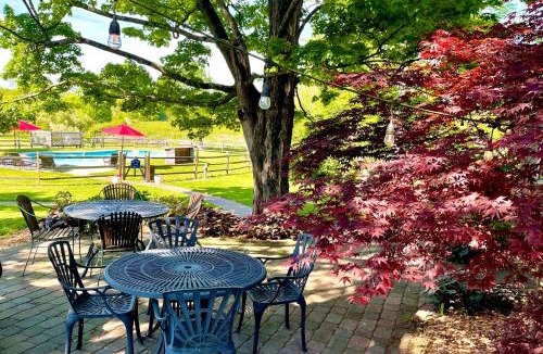 Pipersville Bed & Breakfast | Galvanized America Inn & Art Gallery