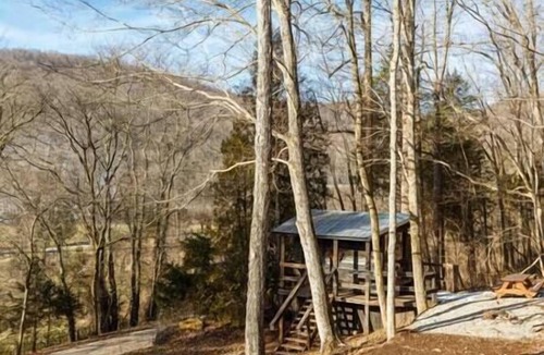 Lynx Cabin | Glamping Cabin | Huge Window | Nature Lovers Dream