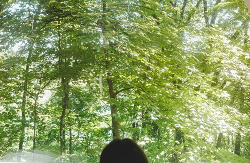 Kipling RV Rental | Glamplyfe Nature Experience: A-Frames in the Hills F3