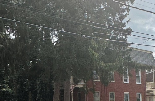 Westminster House | Green Street Oasis Hot Tub, Fire Pit & Walk to Downtown