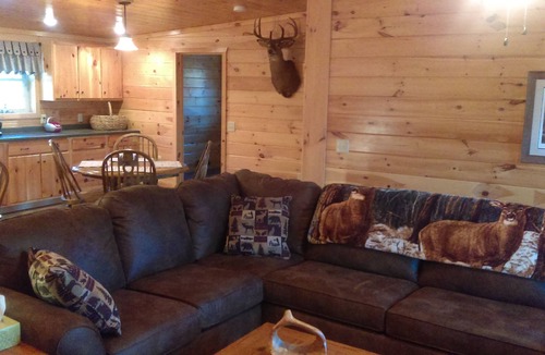 Branchport Cabin | Grey's Getaway Cabin# 3 Cabin is a Slice of heaven in Finger lakes region!
