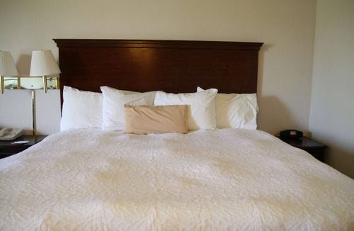 Selinsgrove Hotel | Hampton Inn Selinsgrove/Shamokin Dam
