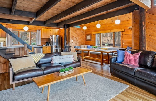 Keuka Park Cottage | Hillside Cabin | On Keuka Lake | FLX