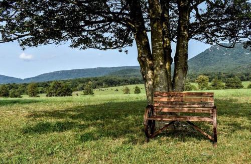 Luray House | Holly Tree Retreat Located In Beautiful Luray, VA.