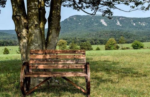 Luray House | Holly Tree Retreat Located In Beautiful Luray, VA.
