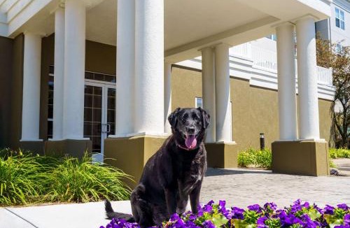 Erie Hotel | Homewood Suites by Hilton Erie