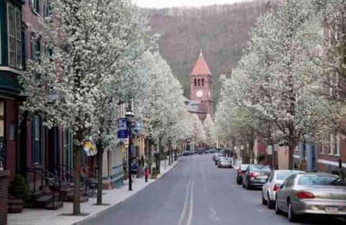 Ashfield Apartment | In The Heart Of Jim Thorpe (with your own parking)