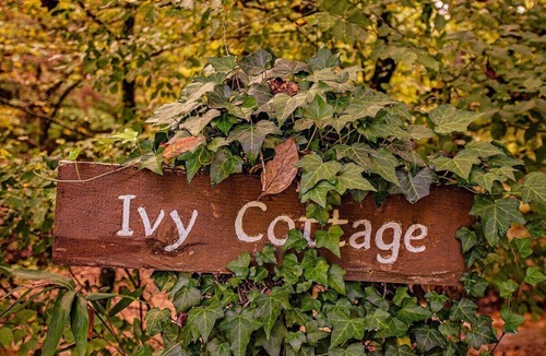 Benton Apartment | Ivy Cottage | Cute Cottage Along The Ocoee River