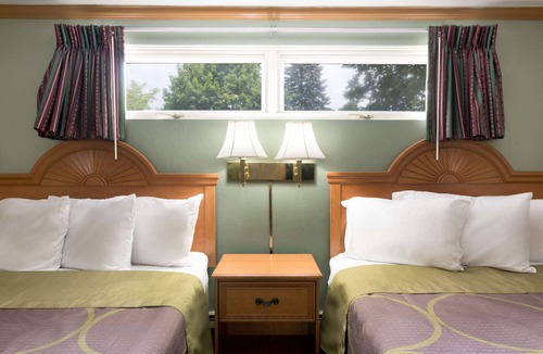 Palmyra Hotel | Knights Inn Palmyra