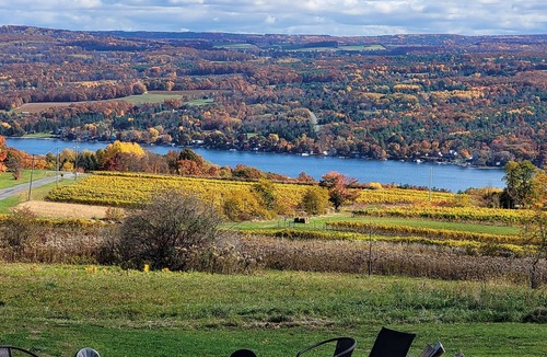 Hammondsport House | Lake & Vineyard View