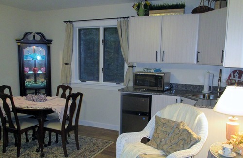 Felton Apartment | Lakeside Smoke-Free Studio with dock, canoe, wifi, HDTV, & Chromecast