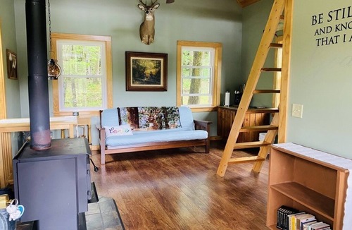 Horseheads Cabin | Little Cabin in the Big Woods