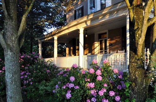 Holicong Cabin | Lodge ∙ 1 bedroom ∙ 4 guests