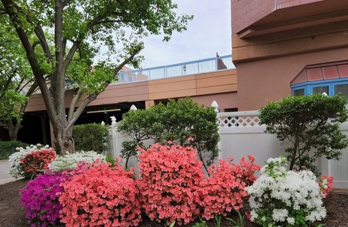 Edgewater Condo | Lovely short-term rental in Edgewater - 5 mins to everything! 20 mins to NYC!