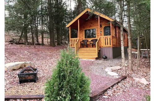 Grier City-Park Crest House | Luxury Cabin at Historic Lakewood Park w/ Linens - A