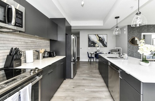 Crystal City Apartment | Modern 2BR Oasis with Scenic Rooftop & Gym ﻿