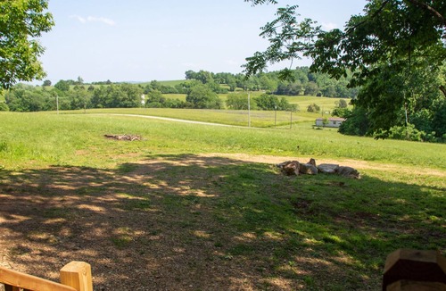 Nancy Cabin | Modern Cabin on wooded 20 acres with scenic view
