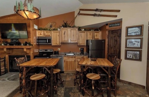 Rockwood Condo | Mountain View Escape - 1BR Ski-in/out Rustic Condo