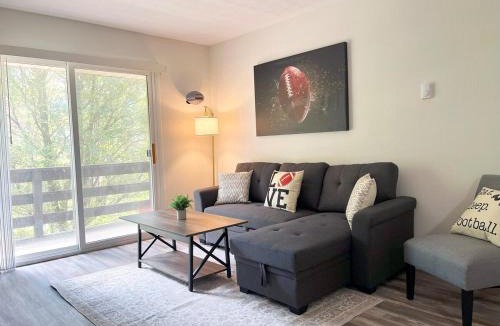 Canton Apartment | New Hall Of Fame Apt! - 7 Min Walking Distance