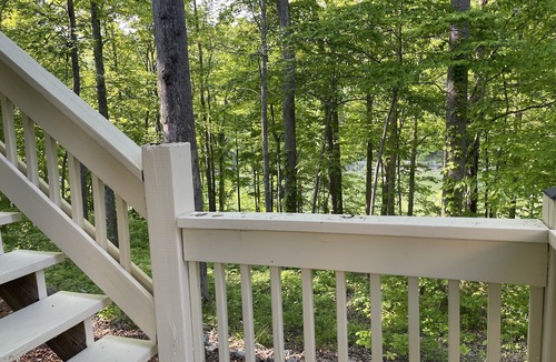Sloans Valley House | 'No Wake Zone' is Lakefront and close to the boat ramp