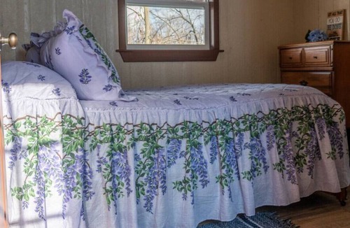 Mill Hall Cabin | Off grid; River front getaway, boat. Firepit, woodland; Generator. 2 Bedrooms.