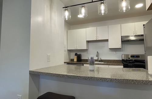 Harsimus Cove Apartment | One Hamilton Essentials - 3 Bed 2 Bath First Floor Apt Mins to NYC