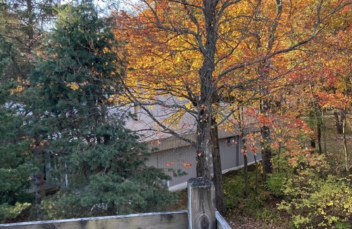 Claysburg Condo | Outdoor Adventures Await on Blue Knob