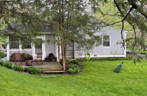 Pine Plains House | Peacock Garden Cottage, A Unique Upstate Find
