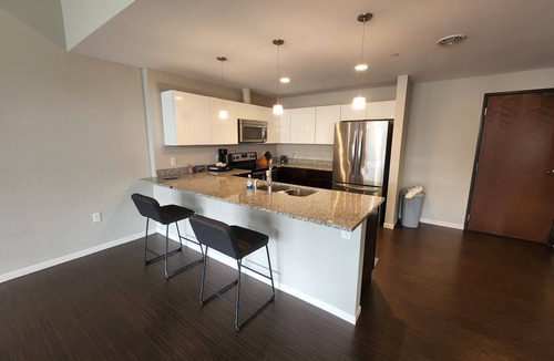 Downtown Cleveland Condo | Penthouse In The Flats
