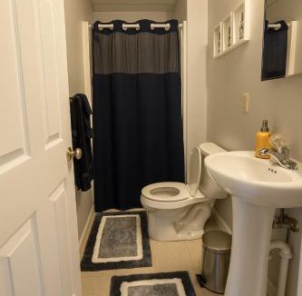 Morgantown Apartment | Perfect for Groups! 3BR-3BA Near WVU & Downtown