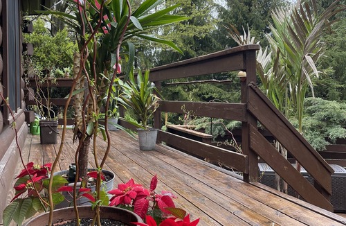 Greentown House | Perfect getaway from your daily routine!