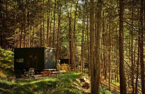 Elkton Other | Postcard Cabins Beaver Creek, Outdoor Collection by Marriott Bonvoy