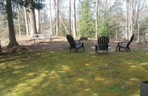 Drennen Cabin | Private Cabin in the woods,/Near Summersville lake and Gauley river