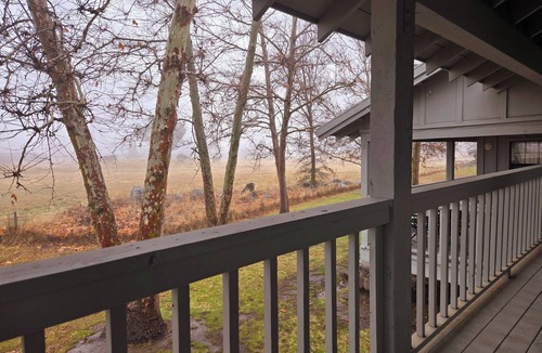 Stallion Springs Cottage | Private cottage quiet & peaceful at Stallion Springs