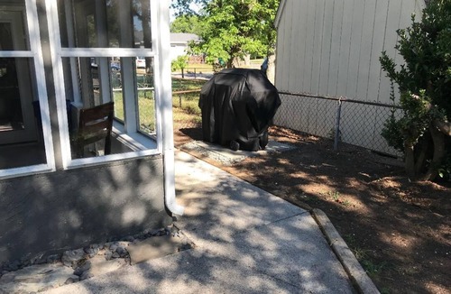 North Cape May House | Private Home, Quiet Neighborhood, Pet Friendly.