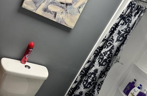 Carbondale Apartment | Private master bedroom apartment with WiFi, AC in charming Carbondale
