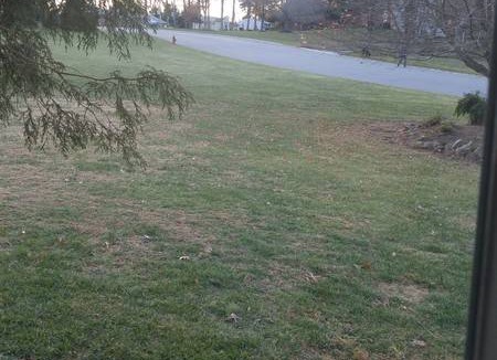 Sykesville Resort | Private room ∙ 1 guest