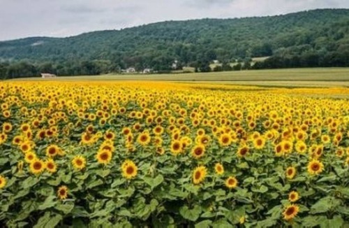 Hackettstown Resort | Private room ∙ 1 guest