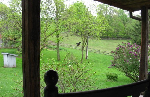 Springtown Resort | Private room ∙ 2 guests