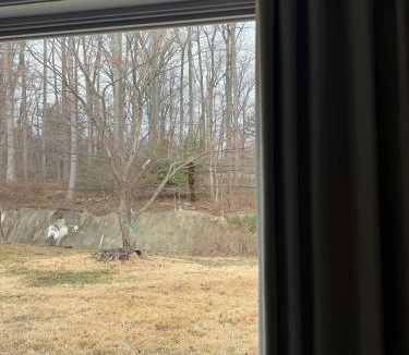 Jenkintown House | Private Studio in Park House