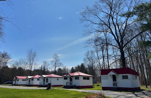 Westford Cabin | Quaint Cabin #3 - Pymatuning Lake