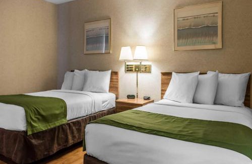 Wilkes-Barre Hotel | Quality Inn Arena