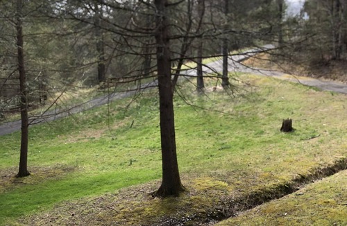 Oneida Cabin | Quiet Get-a-way near the Big South Fork and Brimstone Recreation