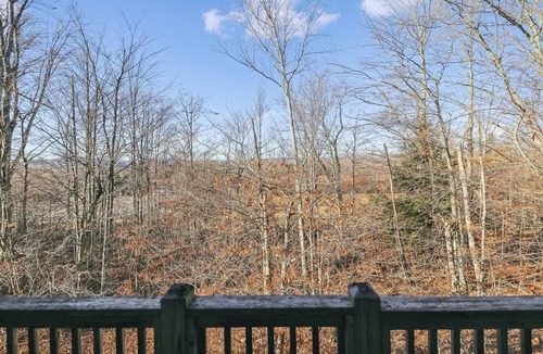 Canaan Valley Condo | Ready to ski? This is the place to be! Check out Ski Ride Inn!