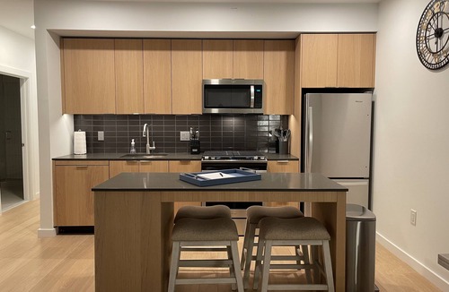 Reston Apartment | Reston Metro Apartment - Home Office off Silver Line