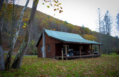 Driftwood Cabin | Rustic Getaway In The Heart Of The Pennsylvania Elk Range
