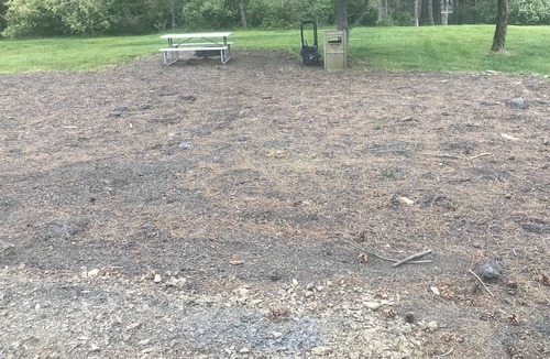 Benezette RV Rental | RV Lot On Best Elk Viewing Road (Across From Visitor’s Center)