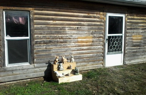 Carbon Hill Cabin | Secluded Cabin near hocking hills with hunting possibilities