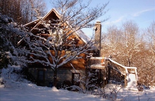 Dailey Cabin | Secluded Log Home-Hot Tub-Fire Pit-LP Grill-on 46 Peaceful Natural Acres-3 Beds