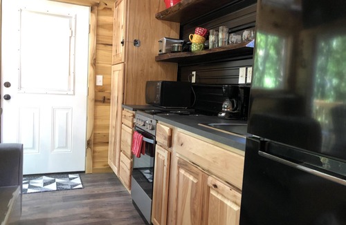 Rogers Cabin | Secluded Tiny House with Hot Tub